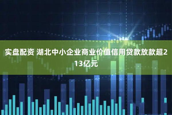 实盘配资 湖北中小企业商业价值信用贷款放款超213亿元