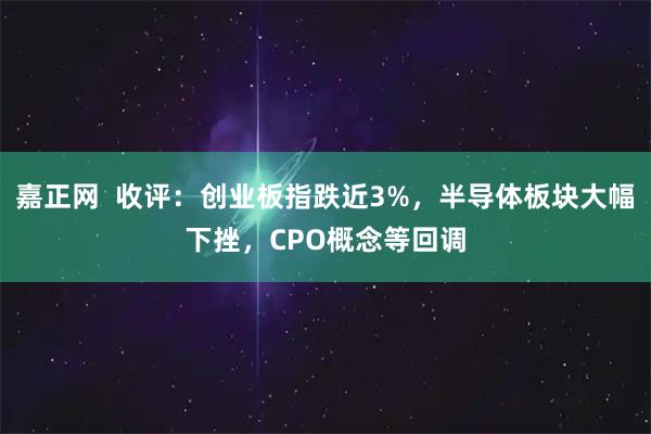 嘉正网  收评：创业板指跌近3%，半导体板块大幅下挫，CPO概念等回调